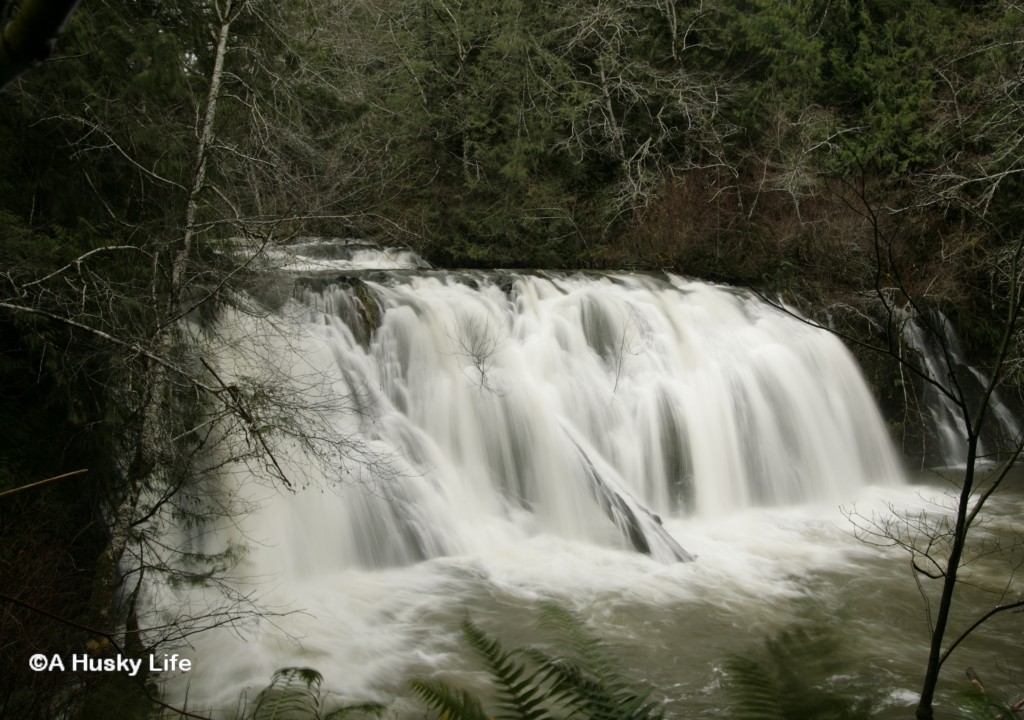 Beaver falls on our drive to Cape Flattery.