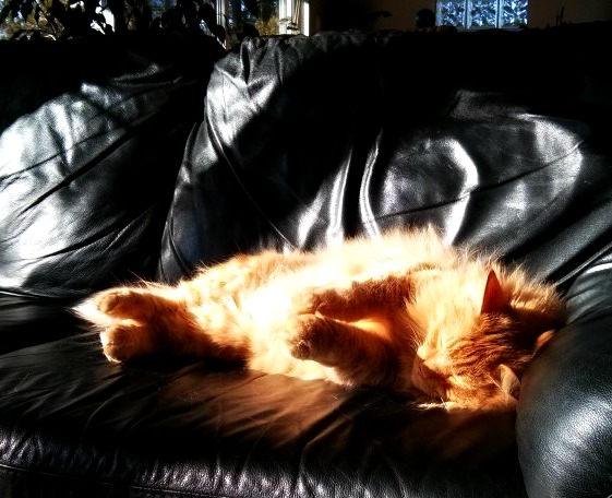 sun beam