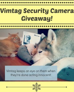 Vimtag Giveaway