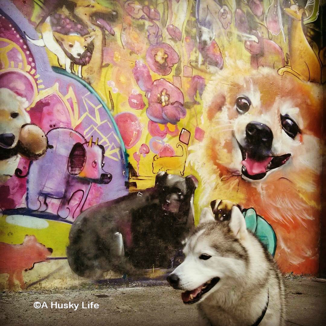 A dog themed mural at Seattle's dog park.