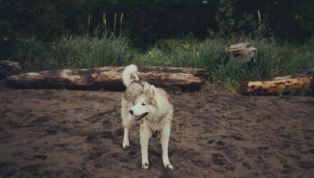 Wordless Wednesday: Fun at the Beach