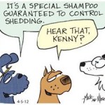 The Dogs of C Kennel Comic Strip