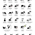 Doggie Language