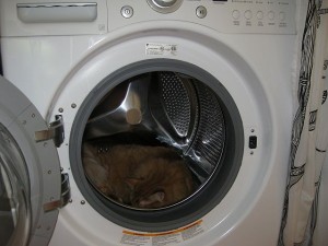the washing machine...