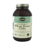 Why Dogs Eat Grass? Benefits of Wheat Grass Powder