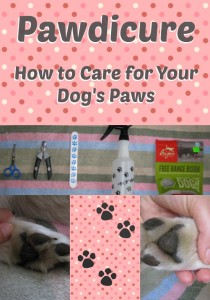PAWdicure: How to care for your dog's paws by A Husky Life.