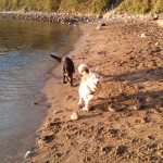 Fun and Games at the Beach