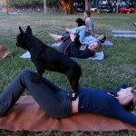 Why Do Doga? Practicing Yoga With Your Dog.