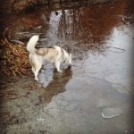 Wordless Wednesday: Frozen Lake