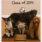 Wordless Wednesday: Class of 2014