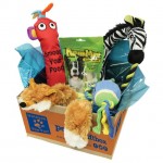 Pet Gift Box Review