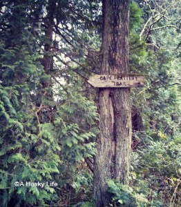 Trail head to Cape Flattery.