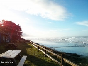 View from the cabins at Kalaloch Lodge.