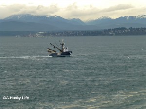 Fishing boat in Strait of Juan de Fuca