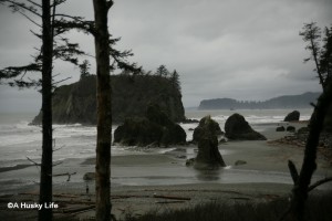 View of Ruby Beach on the West Coast of Olympic Peninsula