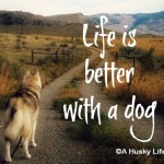 Wordless Wednesday: Life is Better with a Dog