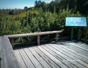 Bird watching spot over the marsh