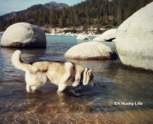 By the lake