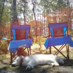 Wordless Wednesday: Camping