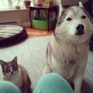 Rocco and Ilyich waiting for me to share my breakfast