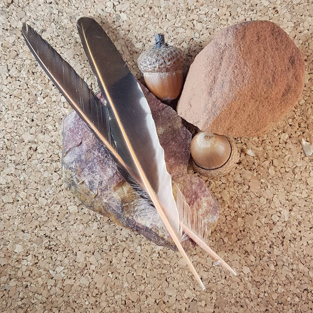 Rocks, feathers and acorns for making a scent box for canine enrichment.