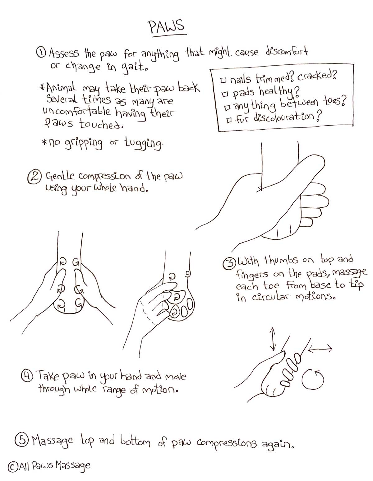 Graphic showing step by step dog massage technique for paws.